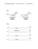 Methods and Compositions for Detecting a Drug Resistant Egfr Mutant diagram and image