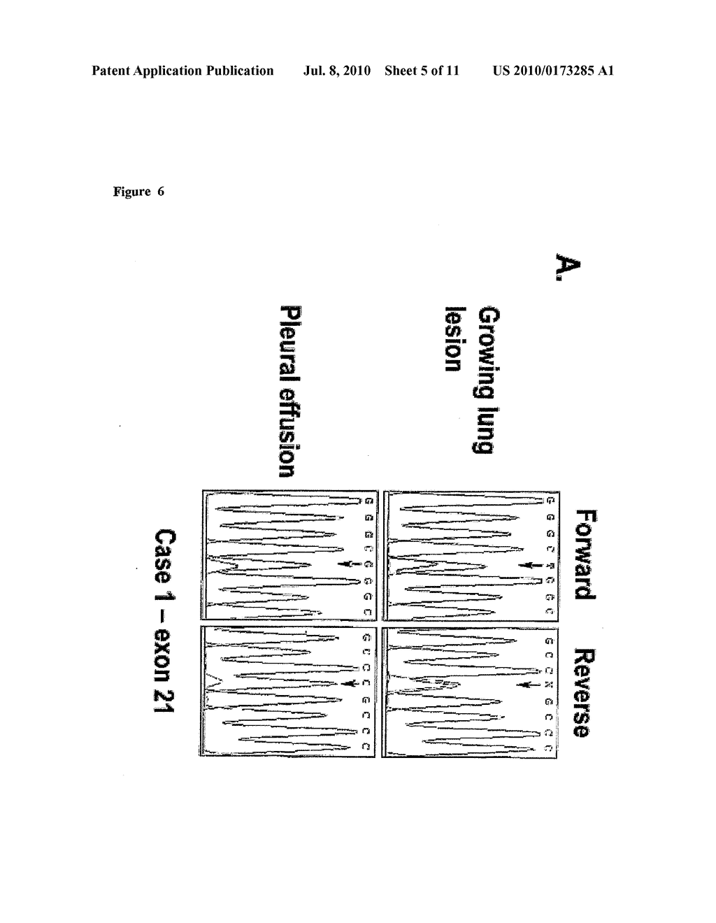 Methods and Compositions for Detecting a Drug Resistant Egfr Mutant - diagram, schematic, and image 06