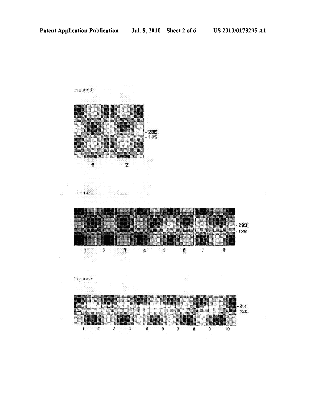 FIXATION OF A BIOLOGICAL MATERIAL - diagram, schematic, and image 03