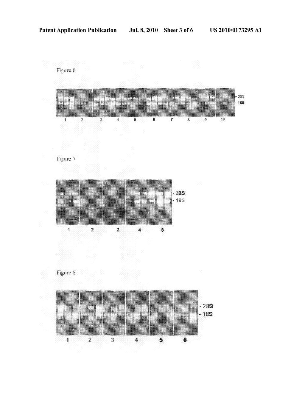 FIXATION OF A BIOLOGICAL MATERIAL - diagram, schematic, and image 04