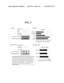 PROGNOSTIC TOOLS TO PREDICT THE EFFICACY OF DRUG TREATMENT TARGETING CHROMATIN DNA OR ENZYMES ACTING ON DNA diagram and image