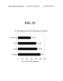 PROGNOSTIC TOOLS TO PREDICT THE EFFICACY OF DRUG TREATMENT TARGETING CHROMATIN DNA OR ENZYMES ACTING ON DNA diagram and image