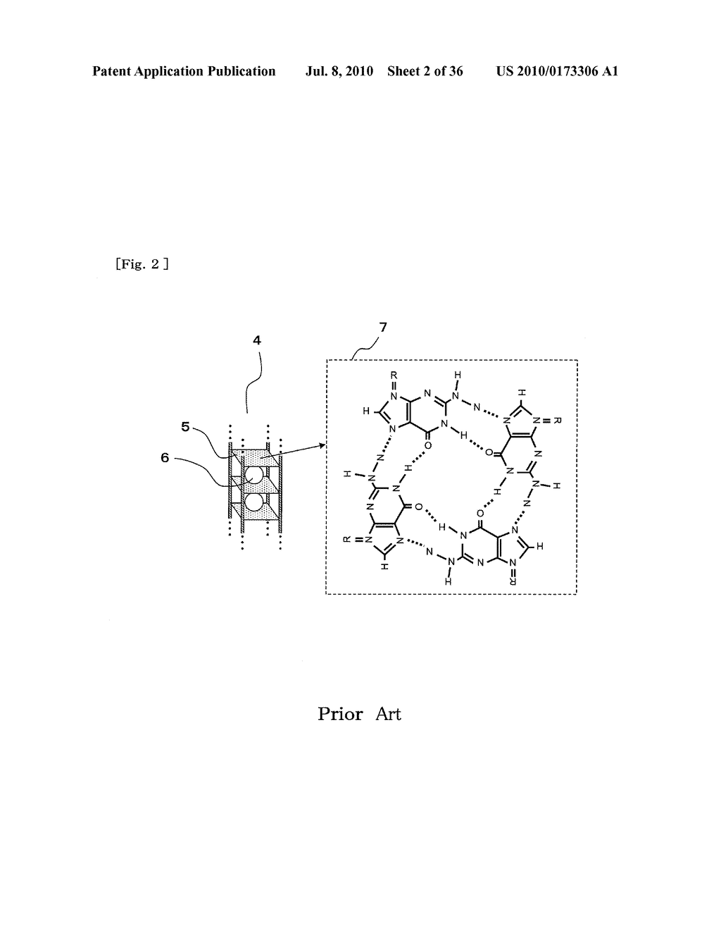 METHOD FOR DETECTING G-QUADRUPLEX, METHOD FOR DETECTING G-QUADRUPLEX-FORMING DNA AND METHOD FOR DETERMINING TELOMERASE ACTIVITY - diagram, schematic, and image 03