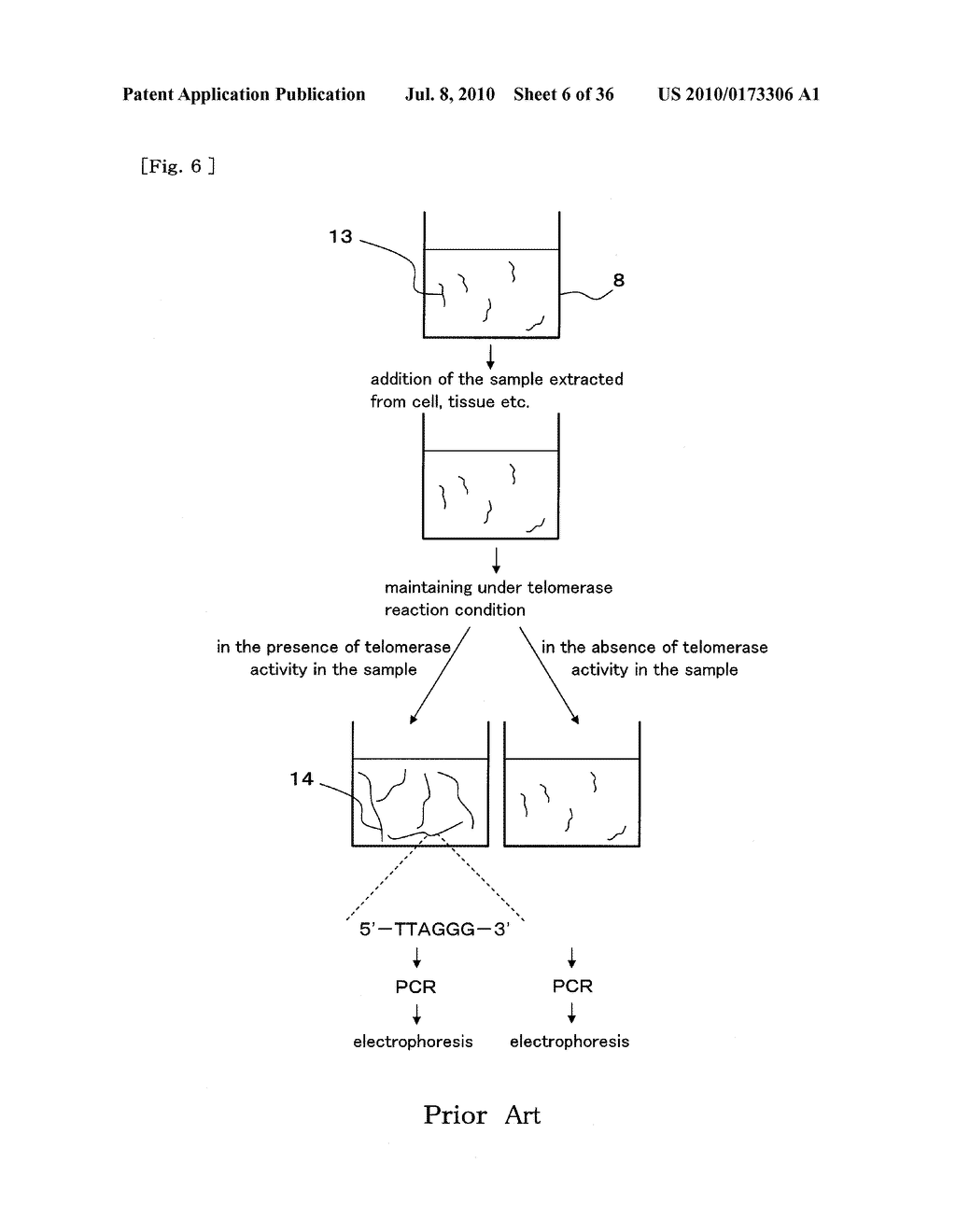 METHOD FOR DETECTING G-QUADRUPLEX, METHOD FOR DETECTING G-QUADRUPLEX-FORMING DNA AND METHOD FOR DETERMINING TELOMERASE ACTIVITY - diagram, schematic, and image 07