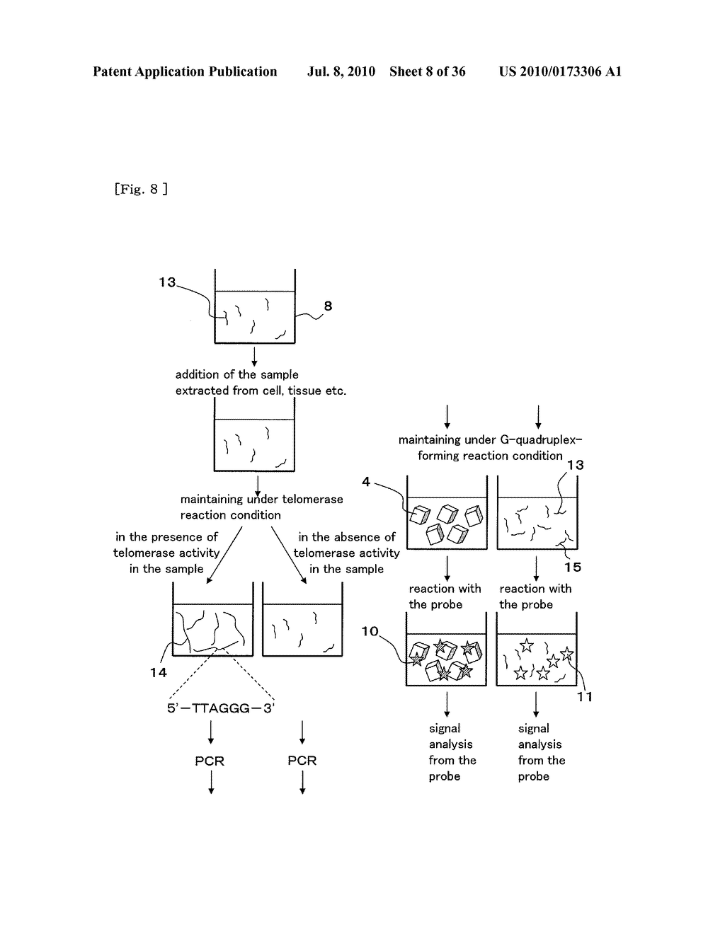 METHOD FOR DETECTING G-QUADRUPLEX, METHOD FOR DETECTING G-QUADRUPLEX-FORMING DNA AND METHOD FOR DETERMINING TELOMERASE ACTIVITY - diagram, schematic, and image 09