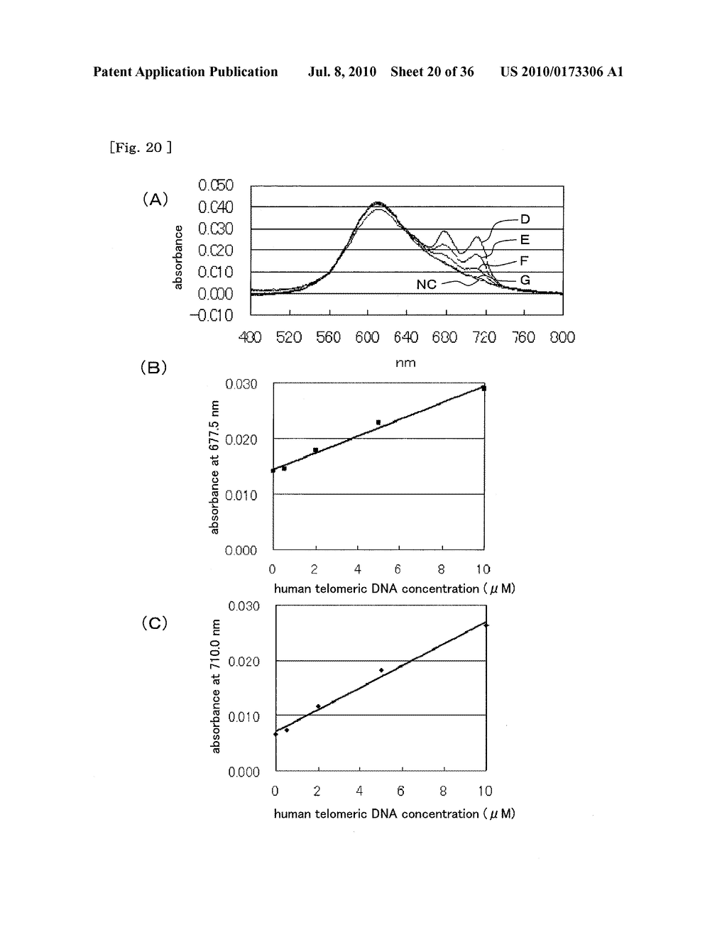 METHOD FOR DETECTING G-QUADRUPLEX, METHOD FOR DETECTING G-QUADRUPLEX-FORMING DNA AND METHOD FOR DETERMINING TELOMERASE ACTIVITY - diagram, schematic, and image 21