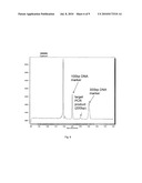 MICROCHIP LARGE-VOLUME PCR WITH INTEGRATED REAL-TIME CE DETECTION diagram and image