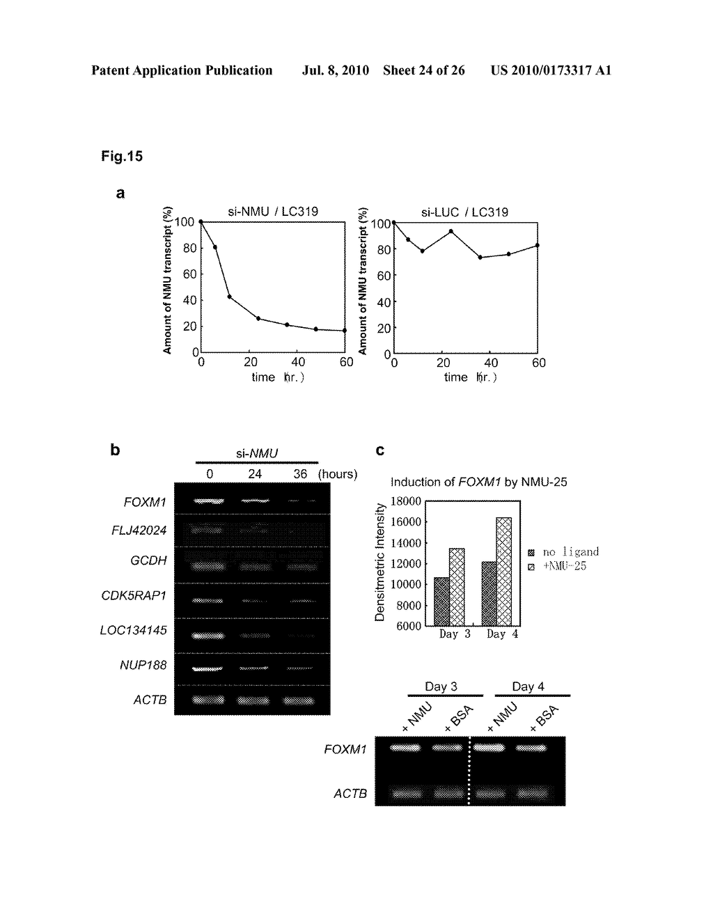 METHOD FOR DIAGNOSING NON-SMALL CELL LUNG CANCER - diagram, schematic, and image 25