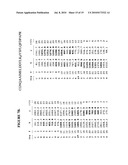 Reagents for the detection of protein phosphorylation in anaplastic large cell lymphoma signaling pathways diagram and image