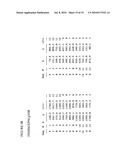 Reagents for the detection of protein phosphorylation in anaplastic large cell lymphoma signaling pathways diagram and image