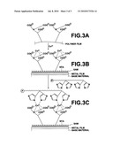 SUBSTRATE AND METHOD FOR PRODUCING THE SUBSTRATE diagram and image