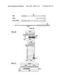 NOVEL NOTCH-ORIGIN POLYPEPTIDES AND BIOMARKERS AND REAGENTS USING THE SAME diagram and image