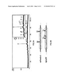 NOVEL NOTCH-ORIGIN POLYPEPTIDES AND BIOMARKERS AND REAGENTS USING THE SAME diagram and image