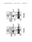 NOVEL NOTCH-ORIGIN POLYPEPTIDES AND BIOMARKERS AND REAGENTS USING THE SAME diagram and image