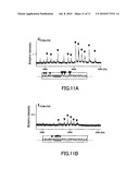 NOVEL NOTCH-ORIGIN POLYPEPTIDES AND BIOMARKERS AND REAGENTS USING THE SAME diagram and image