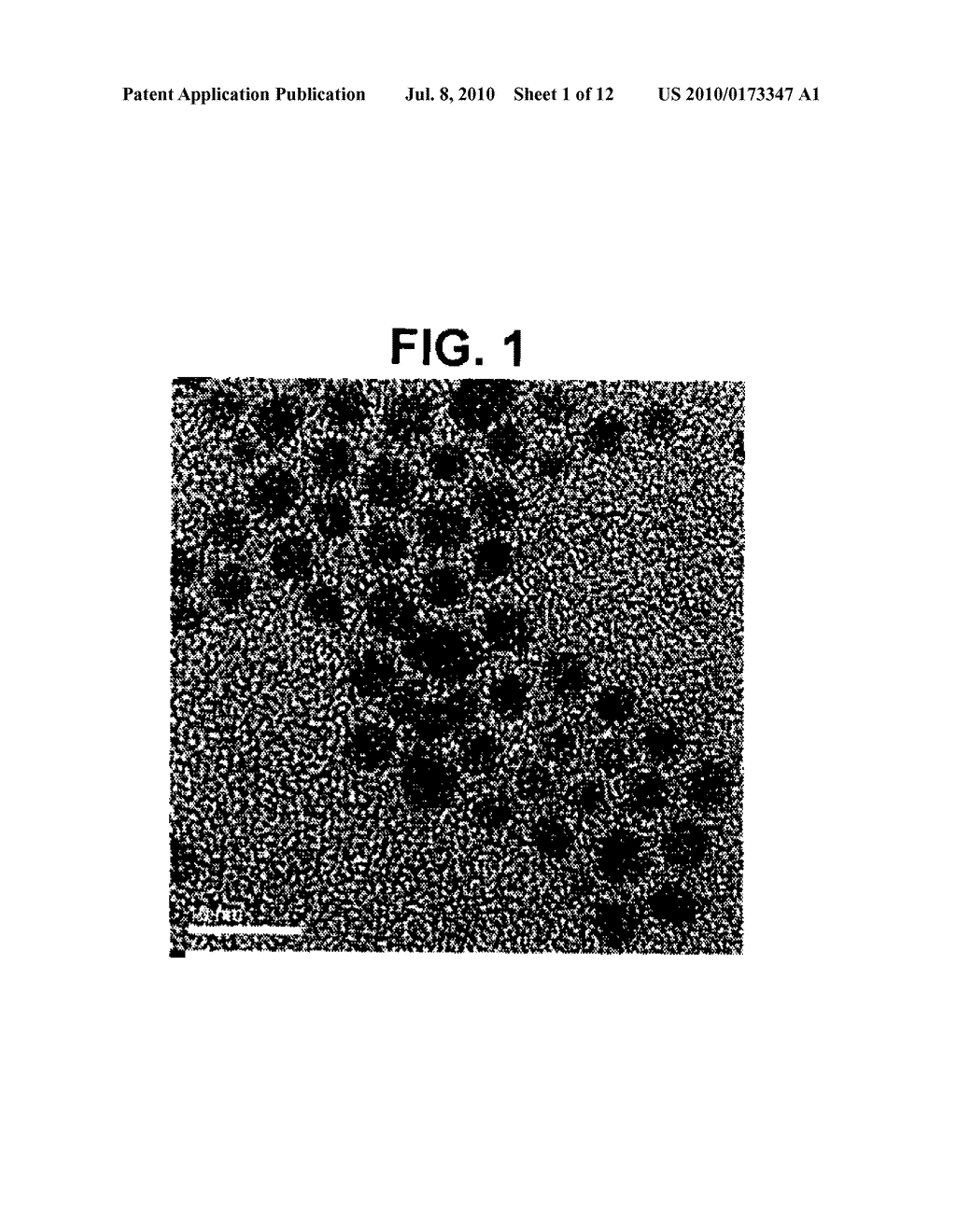 STABILIZED GOLD NANOPARTICLES AND METHODS OF MAKING THE SAME - diagram, schematic, and image 02