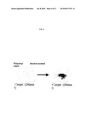 STABILIZED GOLD NANOPARTICLES AND METHODS OF MAKING THE SAME diagram and image