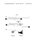 STABILIZED GOLD NANOPARTICLES AND METHODS OF MAKING THE SAME diagram and image