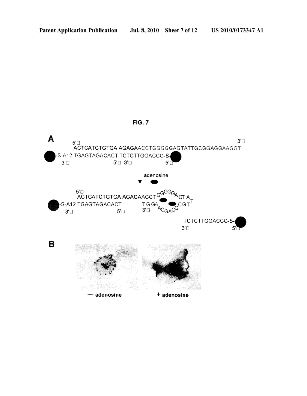 STABILIZED GOLD NANOPARTICLES AND METHODS OF MAKING THE SAME - diagram, schematic, and image 08