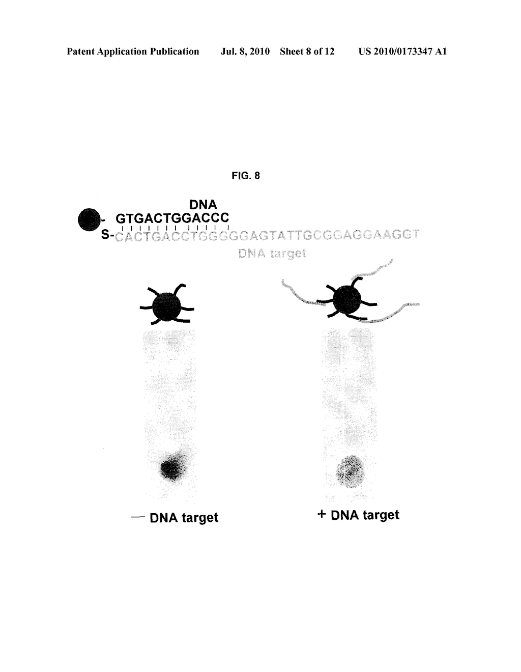 STABILIZED GOLD NANOPARTICLES AND METHODS OF MAKING THE SAME - diagram, schematic, and image 09