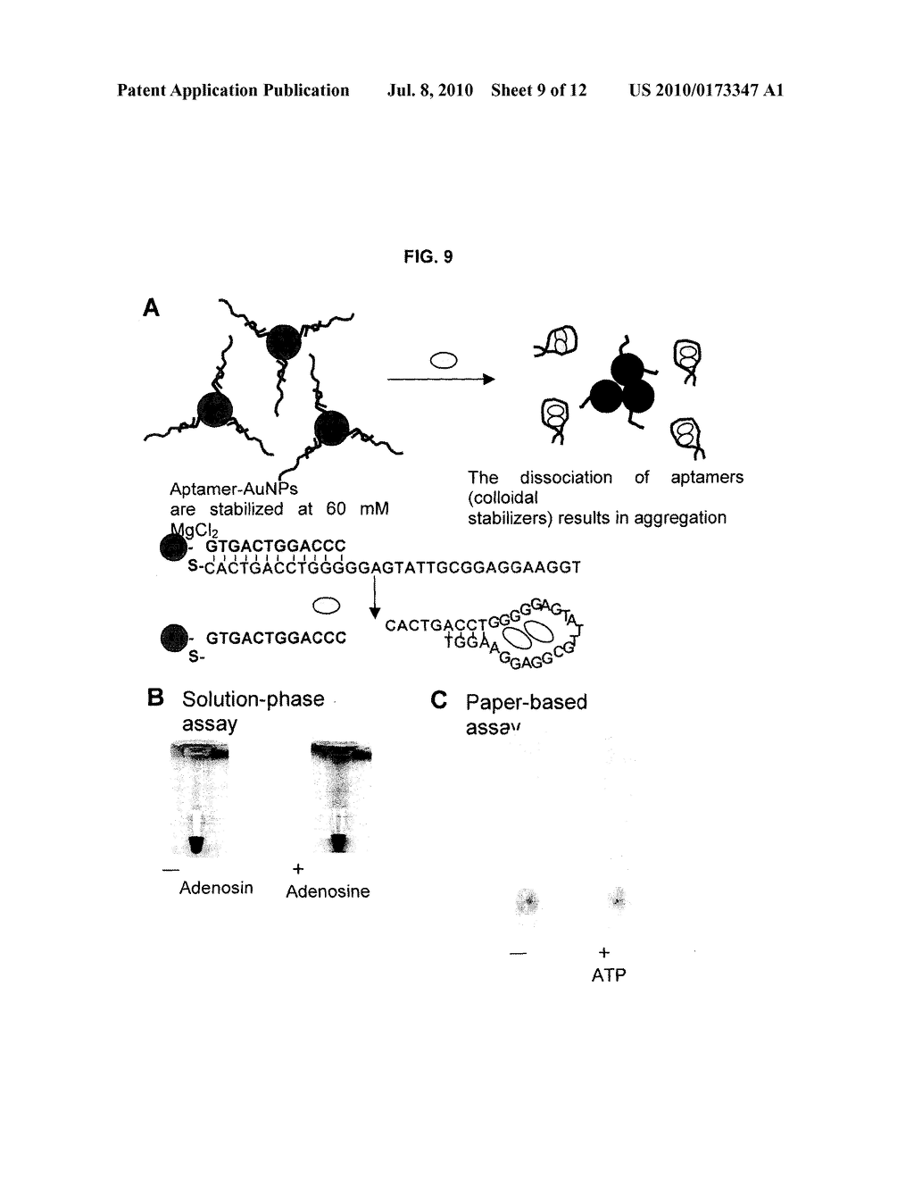 STABILIZED GOLD NANOPARTICLES AND METHODS OF MAKING THE SAME - diagram, schematic, and image 10