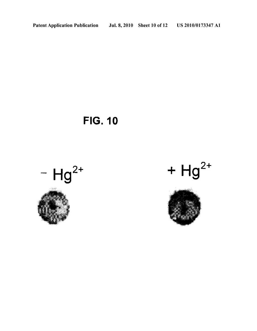 STABILIZED GOLD NANOPARTICLES AND METHODS OF MAKING THE SAME - diagram, schematic, and image 11