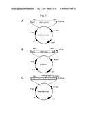 ZINC OXIDE-BINDING ANTIBODY AND USE THEREOF diagram and image