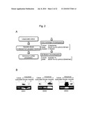 ZINC OXIDE-BINDING ANTIBODY AND USE THEREOF diagram and image