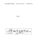 ZINC OXIDE-BINDING ANTIBODY AND USE THEREOF diagram and image