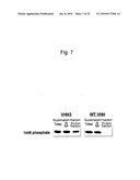 ZINC OXIDE-BINDING ANTIBODY AND USE THEREOF diagram and image