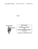 ZINC OXIDE-BINDING ANTIBODY AND USE THEREOF diagram and image