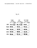 ZINC OXIDE-BINDING ANTIBODY AND USE THEREOF diagram and image