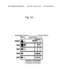 ZINC OXIDE-BINDING ANTIBODY AND USE THEREOF diagram and image