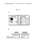 ZINC OXIDE-BINDING ANTIBODY AND USE THEREOF diagram and image