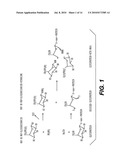 METHODS FOR INTRODUCING MANNOSE 6-PHOSPHATE AND OTHER OLIGOSACCHARIDES ONTO GLYCOPROTEINS AND ITS APPLICATION THEREOF diagram and image