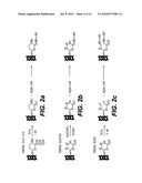 METHODS FOR INTRODUCING MANNOSE 6-PHOSPHATE AND OTHER OLIGOSACCHARIDES ONTO GLYCOPROTEINS AND ITS APPLICATION THEREOF diagram and image