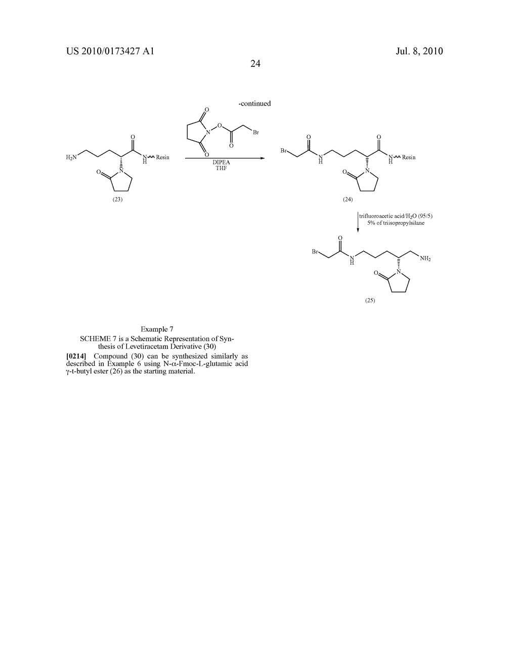 LEVETIRACETAM IMMUNOASSAYS - diagram, schematic, and image 30