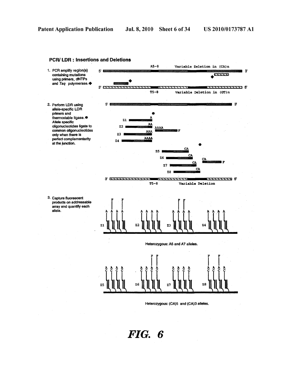 DETECTION OF NUCLEIC ACID SEQUENCE DIFFERENCES USING THE LIGASE DETECTION REACTION WITH ADDRESSABLE ARRAYS - diagram, schematic, and image 07