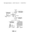 DETECTION OF NUCLEIC ACID SEQUENCE DIFFERENCES USING THE LIGASE DETECTION REACTION WITH ADDRESSABLE ARRAYS diagram and image