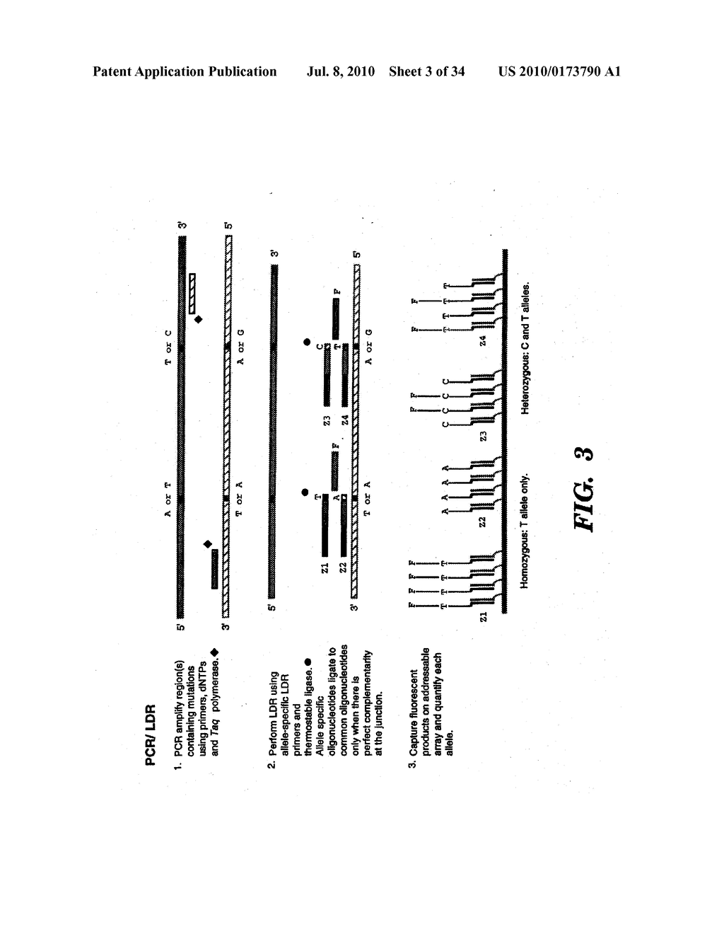 DETECTION OF NUCLEIC ACID SEQUENCE DIFFERENCES USING THE LIGASE DETECTION REACTION WITH ADDRESSABLE ARRAYS - diagram, schematic, and image 04