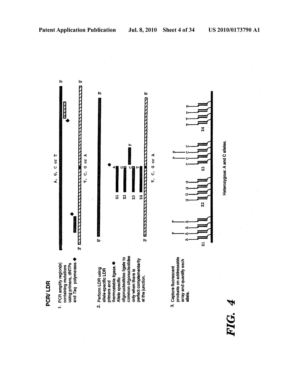 DETECTION OF NUCLEIC ACID SEQUENCE DIFFERENCES USING THE LIGASE DETECTION REACTION WITH ADDRESSABLE ARRAYS - diagram, schematic, and image 05