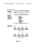 DETECTION OF NUCLEIC ACID SEQUENCE DIFFERENCES USING THE LIGASE DETECTION REACTION WITH ADDRESSABLE ARRAYS diagram and image