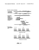 DETECTION OF NUCLEIC ACID SEQUENCE DIFFERENCES USING THE LIGASE DETECTION REACTION WITH ADDRESSABLE ARRAYS diagram and image