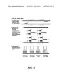 DETECTION OF NUCLEIC ACID SEQUENCE DIFFERENCES USING THE LIGASE DETECTION REACTION WITH ADDRESSABLE ARRAYS diagram and image