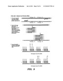 DETECTION OF NUCLEIC ACID SEQUENCE DIFFERENCES USING THE LIGASE DETECTION REACTION WITH ADDRESSABLE ARRAYS diagram and image