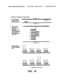 DETECTION OF NUCLEIC ACID SEQUENCE DIFFERENCES USING THE LIGASE DETECTION REACTION WITH ADDRESSABLE ARRAYS diagram and image