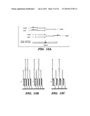 DETECTION OF NUCLEIC ACID SEQUENCE DIFFERENCES USING THE LIGASE DETECTION REACTION WITH ADDRESSABLE ARRAYS diagram and image