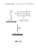 DETECTION OF NUCLEIC ACID SEQUENCE DIFFERENCES USING THE LIGASE DETECTION REACTION WITH ADDRESSABLE ARRAYS diagram and image