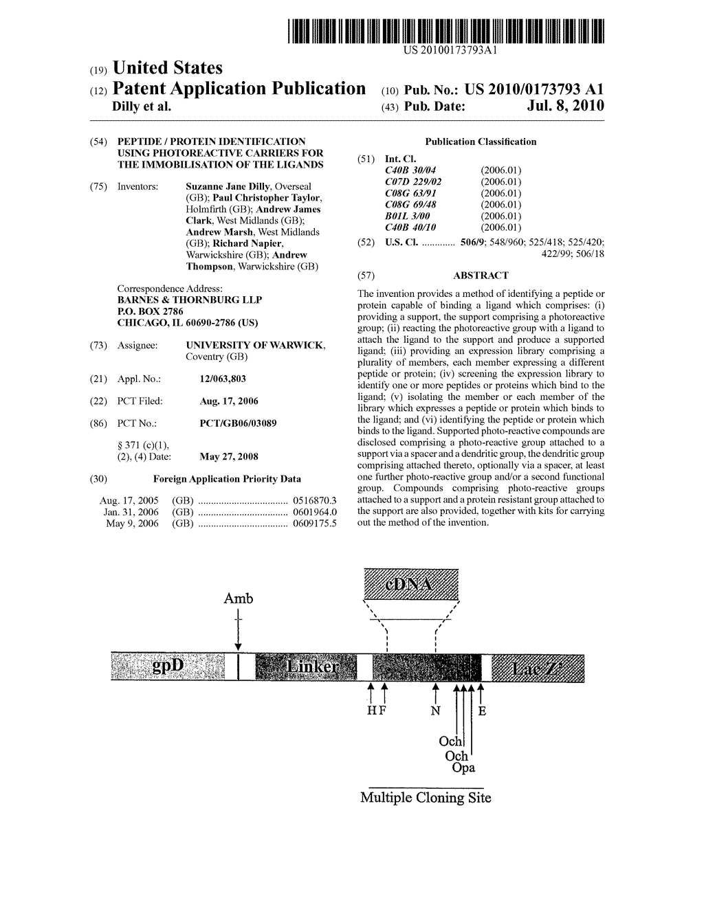 PEPTIDE / PROTEIN IDENTIFICATION USING PHOTOREACTIVE CARRIERS FOR THE IMMOBILISATION OF THE LIGANDS - diagram, schematic, and image 01