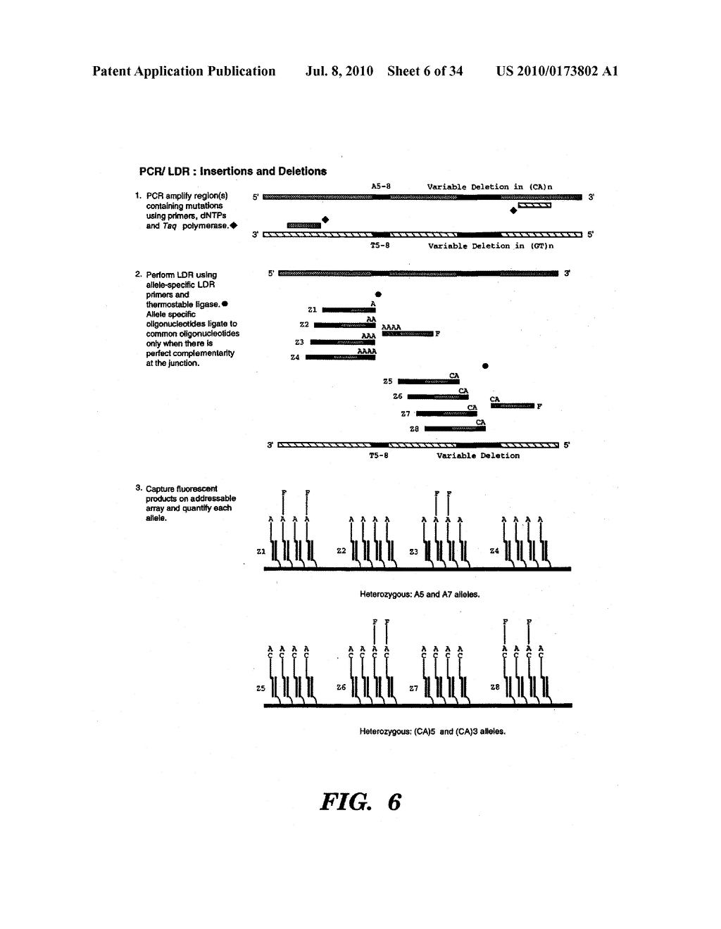 DETECTION OF NUCLEIC ACID SEQUENCE DIFFERENCES USING THE LIGASE DETECTION REACTION WITH ADDRESSABLE ARRAYS - diagram, schematic, and image 07